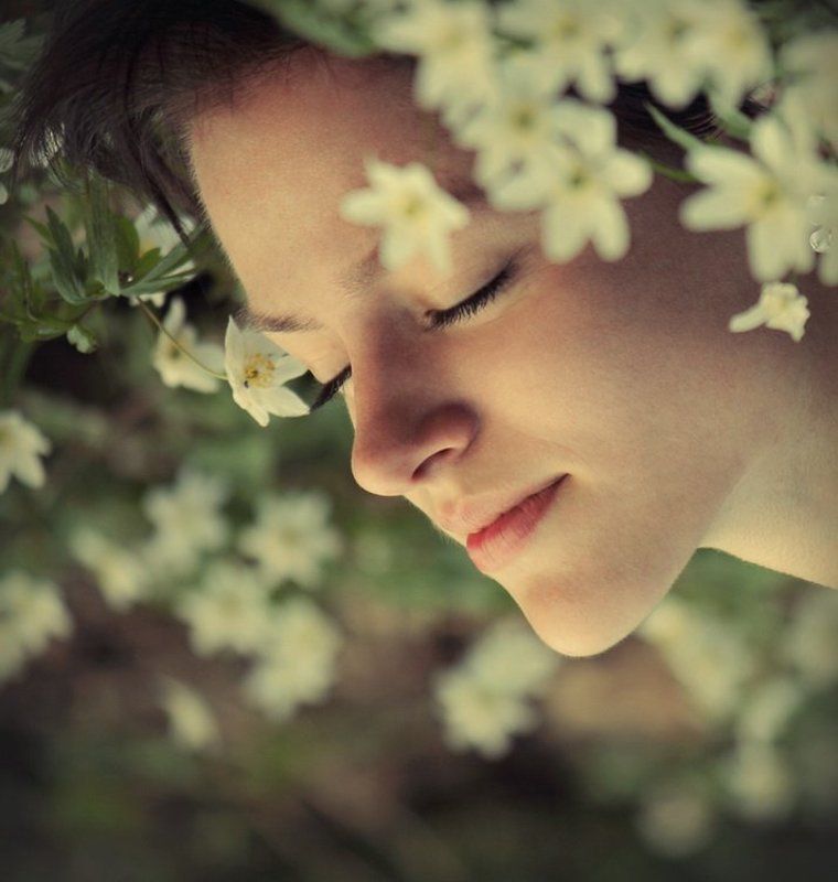 Сны весныphoto preview