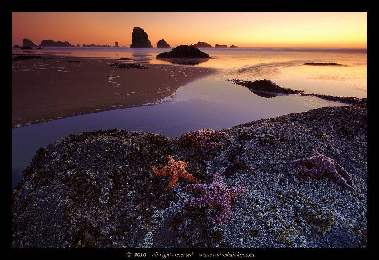 indian beach, oregon, usa, Vadim Balakin