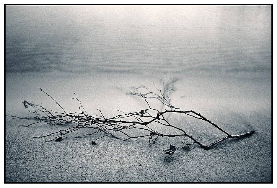 Прикоснуться к осени. Автор: Koba , Koba