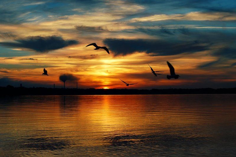 закат, природа, вода закатphoto preview