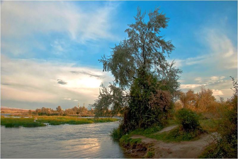 природа И осени первые...шаги...photo preview