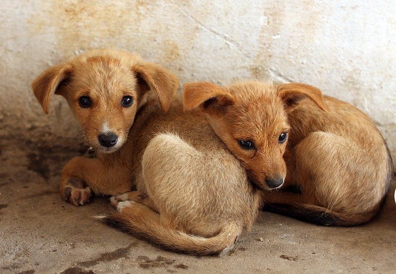 Шесть фотографий о богатых и бедных фото превью