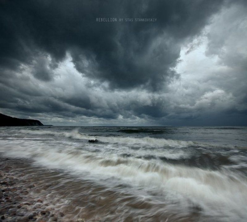 Rebellionphoto preview