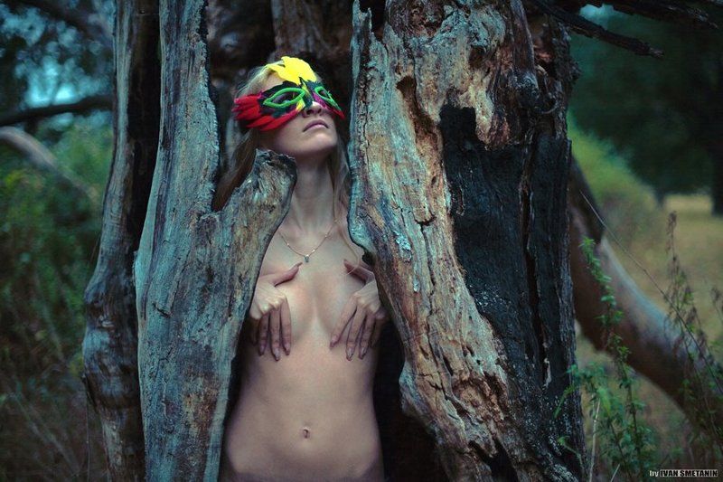 outlandish birdphoto preview