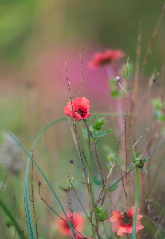 пейзаж, landscape ***photo preview