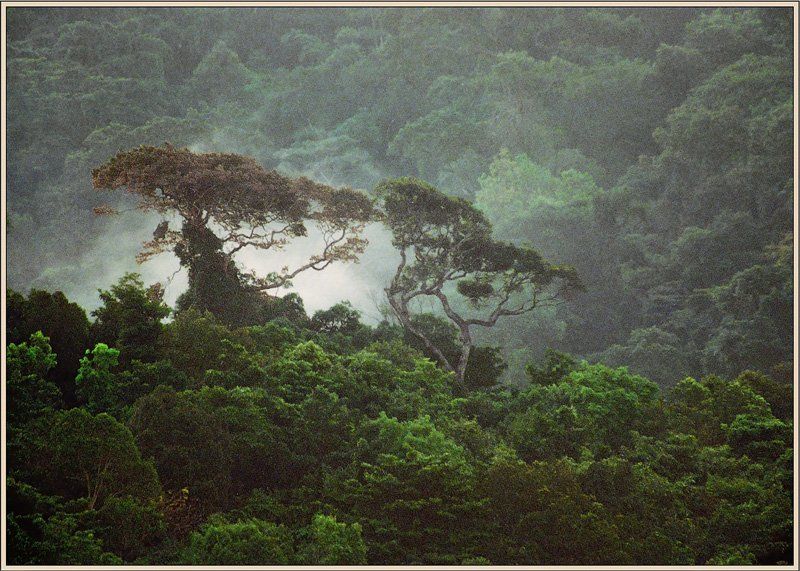 Старая страшная сказка. фото превью