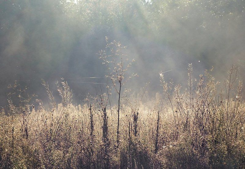 Бабье летоphoto preview