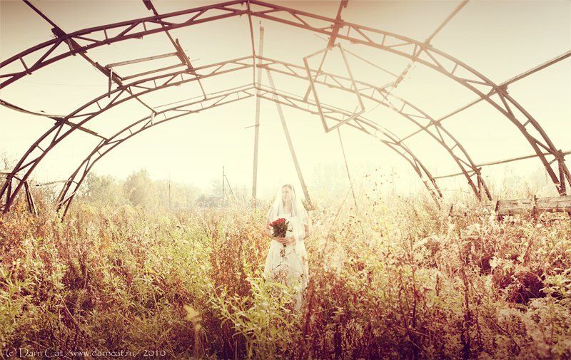 девушка, невеста, руины, осень, трава Опоздала немного... фото превью