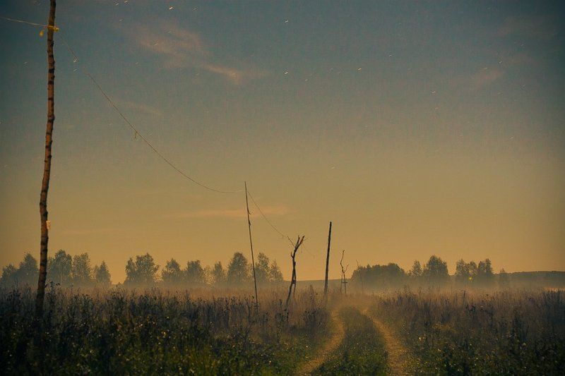 Ночью в полеphoto preview