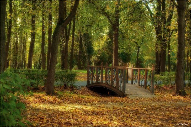 Мостикphoto preview