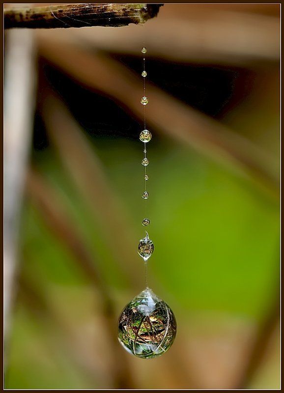 макро,вода,паутинка, Капелька нашей жизни.photo preview