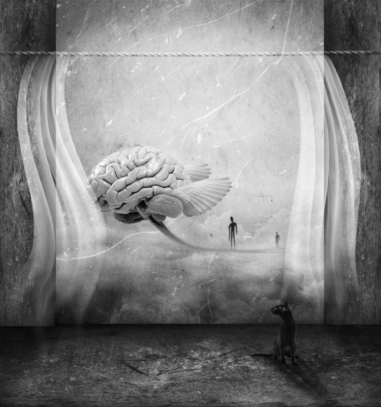 мозг16photo preview