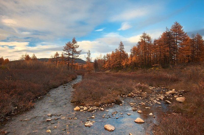...одела осень медью лес под сводом голубых небесphoto preview