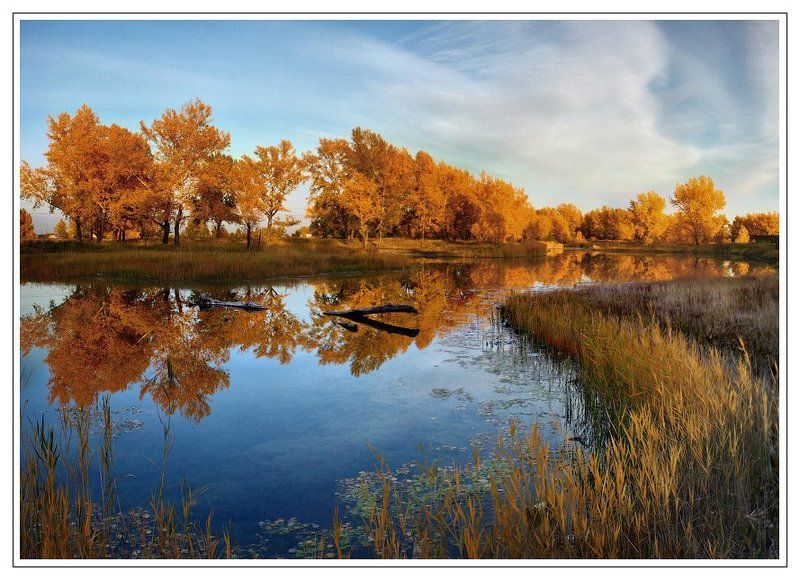 хакасия ОСЕННИЙ КАЛЕЙДОСКОПphoto preview