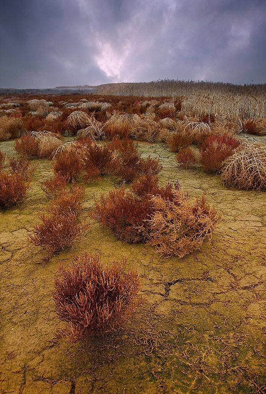 Марсианские хроникиphoto preview