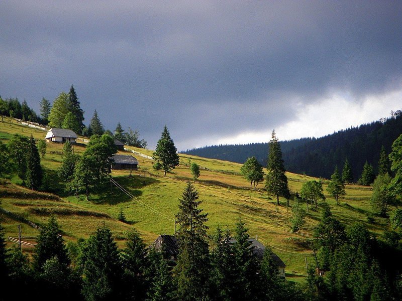 Тихая жизнь...photo preview