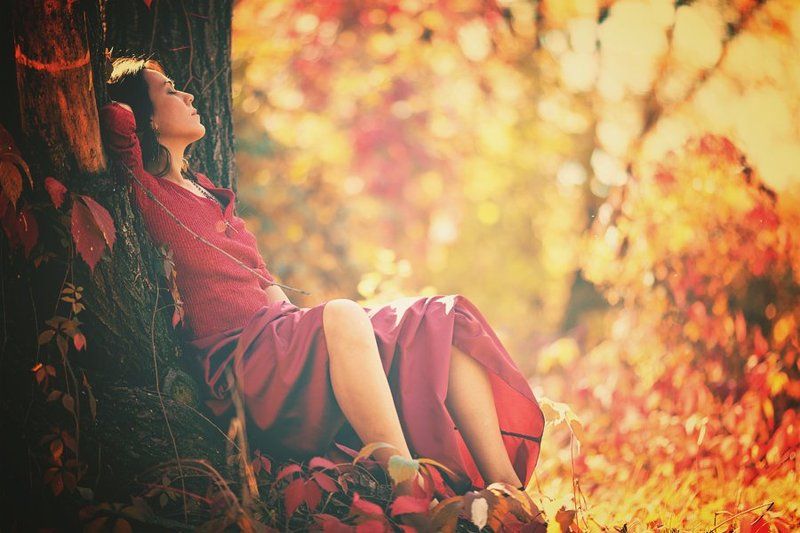 В осеннем лесуphoto preview