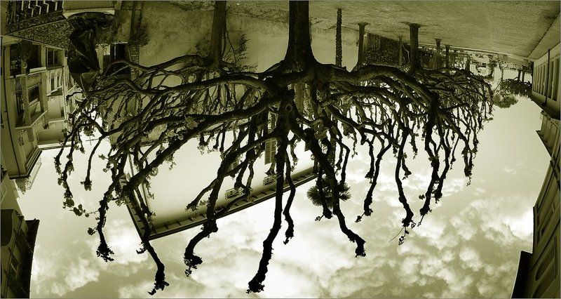 Когда я хожу на руках фото превью