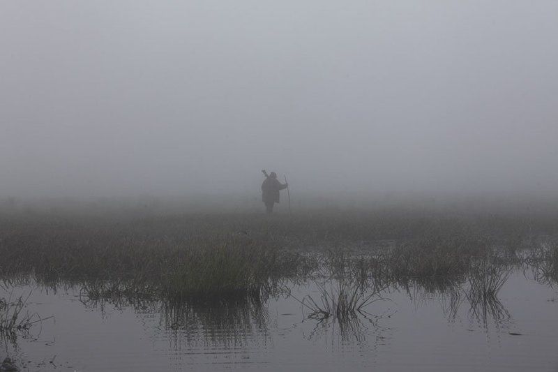 День не задался...photo preview