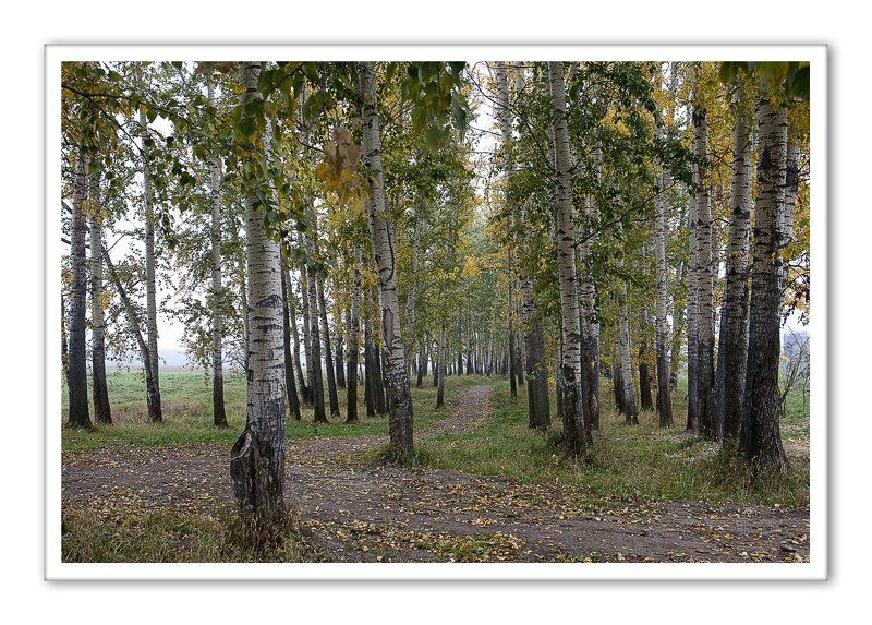 боголюбово, дождь, сентябрь, пейзаж Осеннее настроение...photo preview