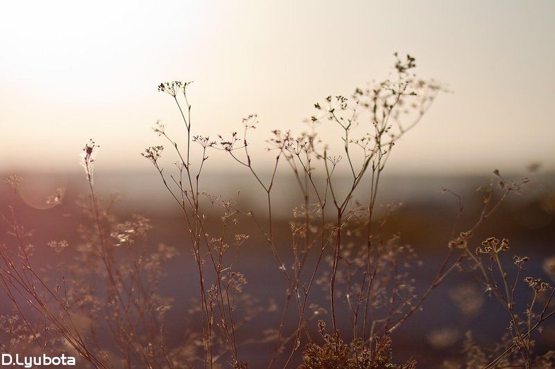 Сентябрьphoto preview