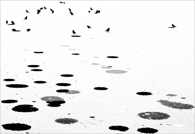 scriptsphoto preview