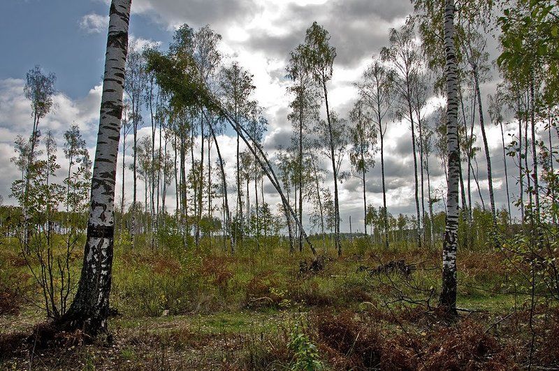 Такая любовь...photo preview