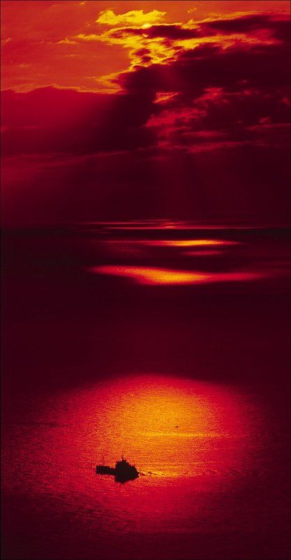 Объект обнаружен. фото превью