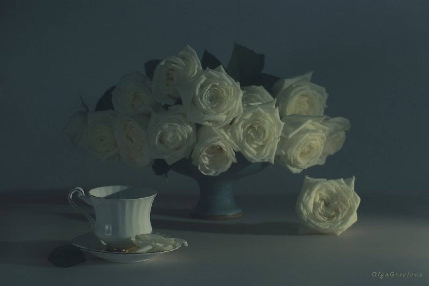 белые розы. Автор: Ольга Горелова натюрморт, фото, белые, розы, Ольга Горелова