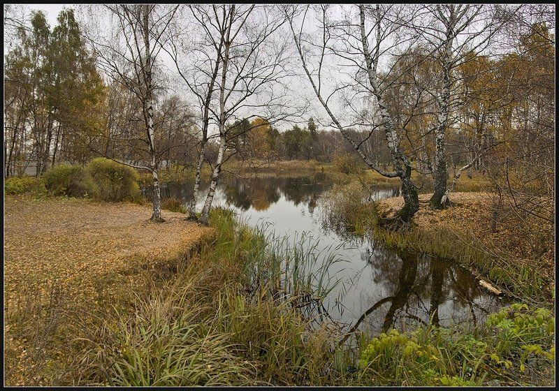 ...вот такая Осень фото превью