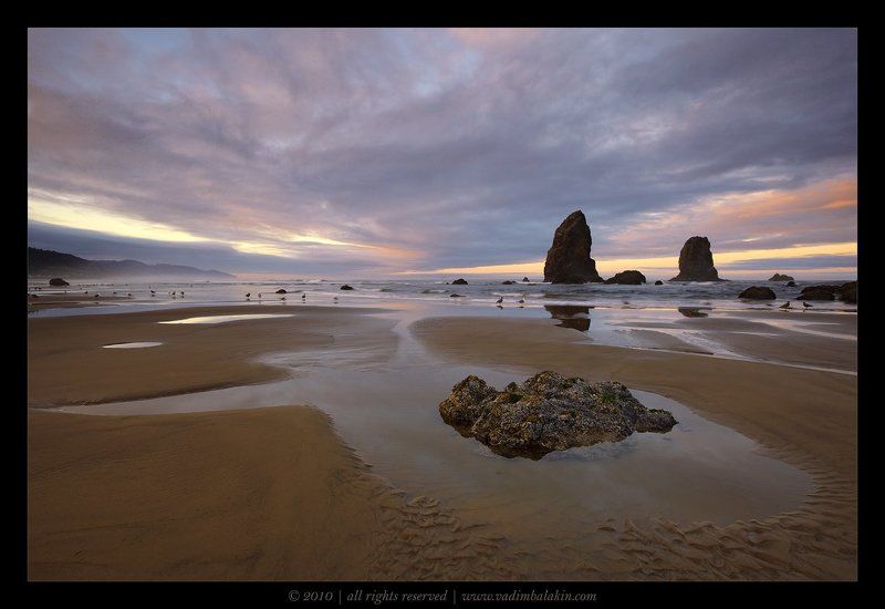 cannon beach, oregon, usa Sunrise at Cannon Beachphoto preview