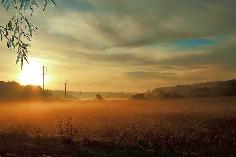 утро, туман, рассвет утро туманноеphoto preview