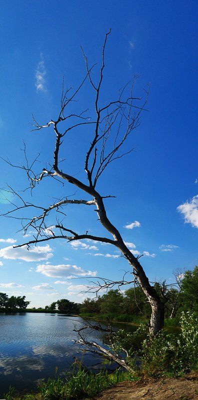 природа, зауралье, фотограф, руденко, олег, курган ***photo preview