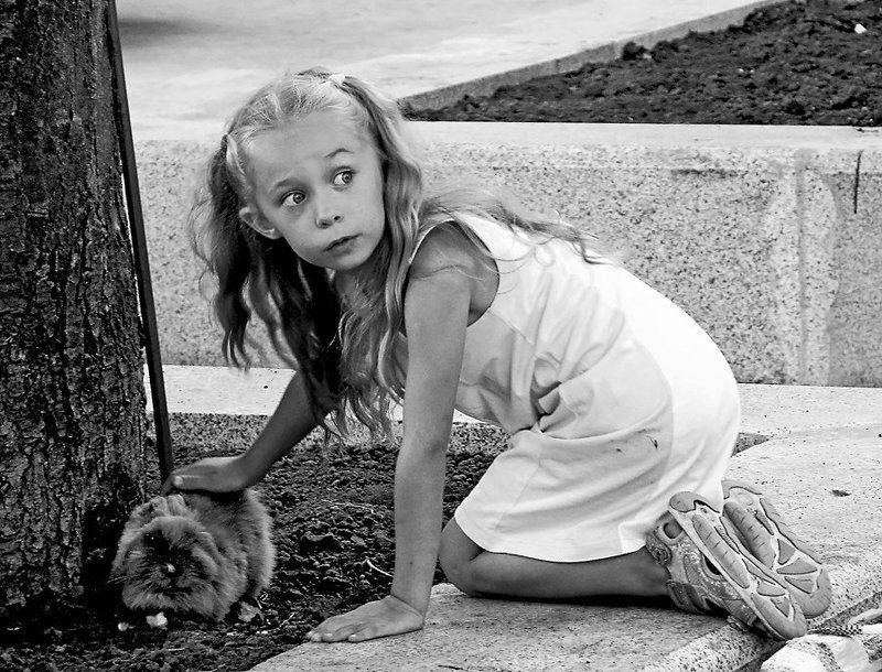 девочка, ребенок Алиса!photo preview