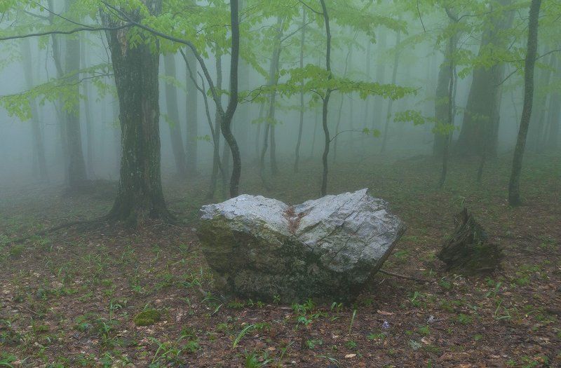 Или мне одному показалось?photo preview