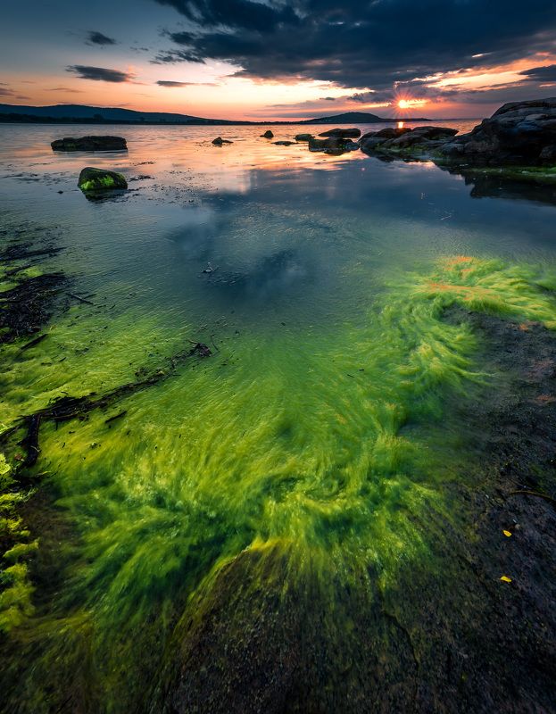 sea, sunset, spring, nature, landscape, sun, green, water Sea springphoto preview
