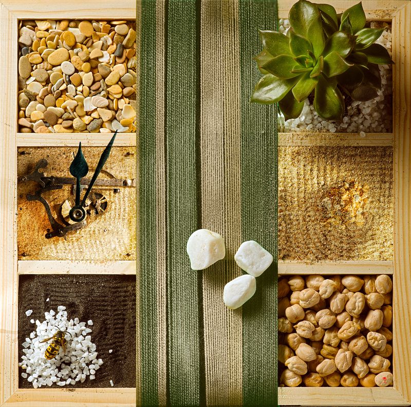 ph. «Суккуле́нт и Оса, за минуту до пробуждения»photo preview