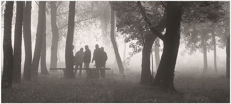 Бешеные псыphoto preview