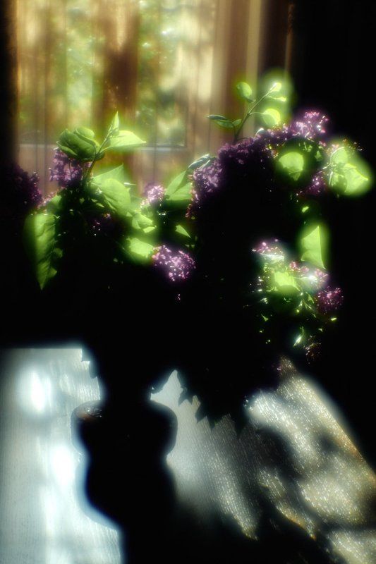 Букет сирениphoto preview