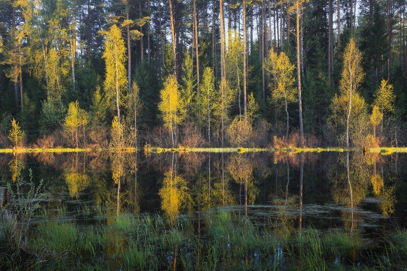 весна разлив вечер свет Весенний калейдоскоп фото превью