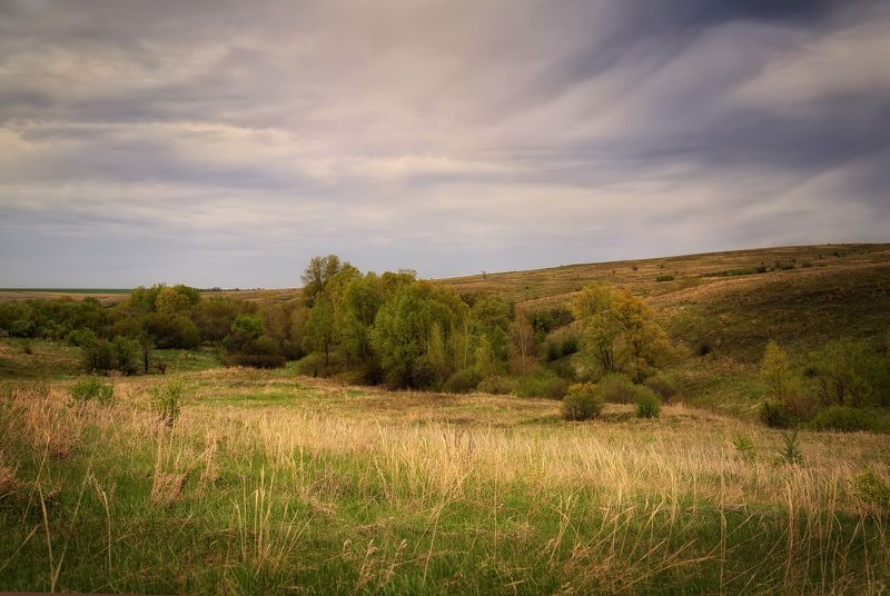 степь балки хопер По Шолоховским местамphoto preview