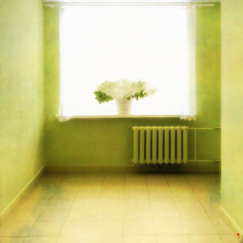 ph. «зеленый коридор, больницы №6», из серии [Impotence of color]photo preview