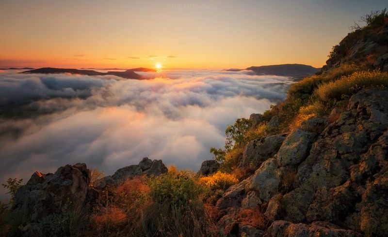 Хлопковое небоphoto preview