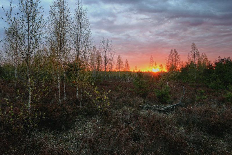 рассвет,утро Майский рассветphoto preview