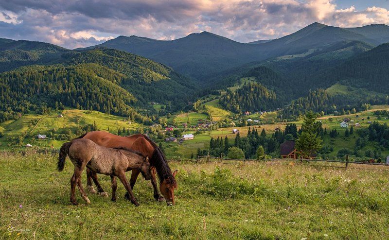 пейзаж природа город облака небо карпаты горы  фото превью