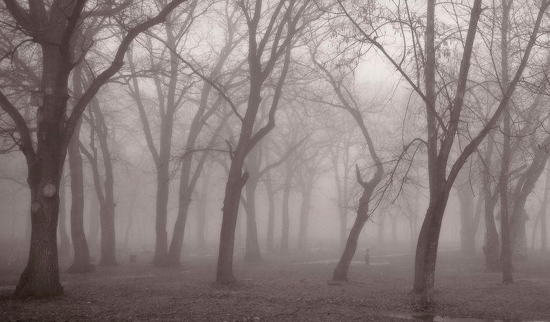 Туманphoto preview