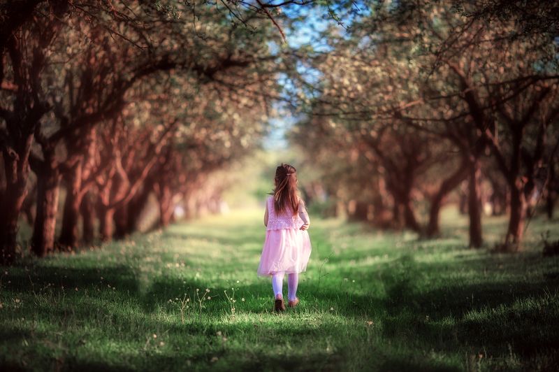 Моя Вселеннаяphoto preview