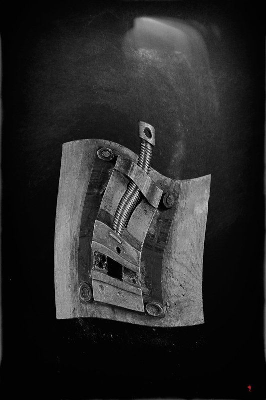 ph. «тисы»...  из серии [смерть дяди Паши]photo preview