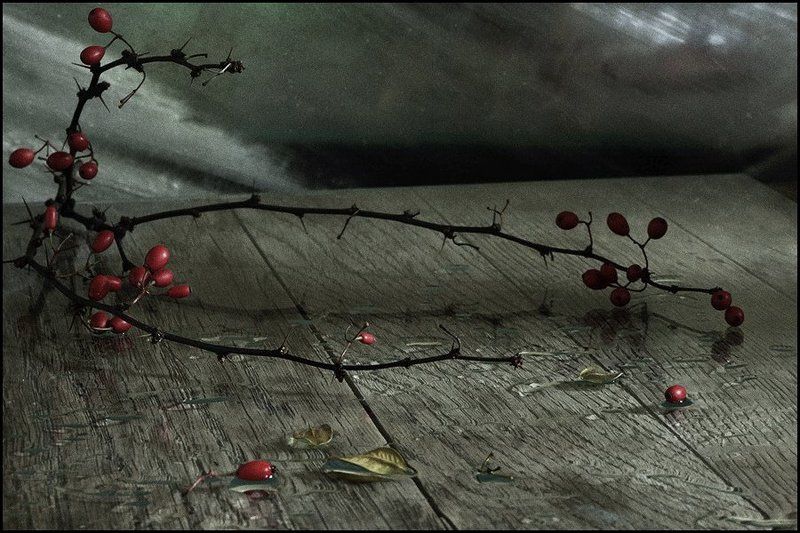 Барбарисовый этюдphoto preview