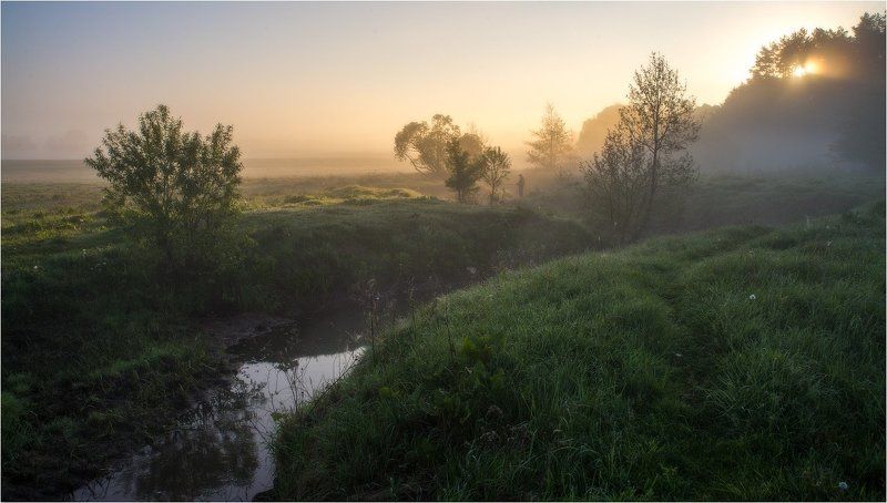 Правильное утро...photo preview